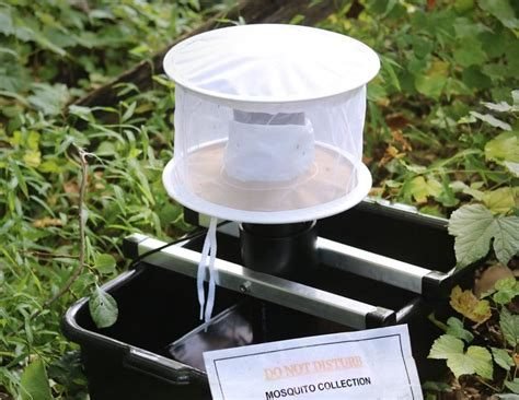 Mosquito collection trap with mesh canopy deployed in field vegetation, labeled for an active monitoring study